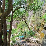 Un Jardin Dans La Falaise